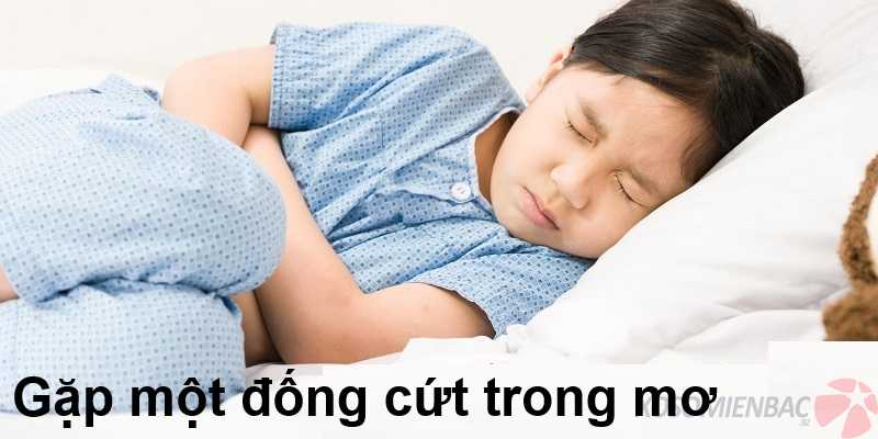 Gặp một đống cứt trong mơ