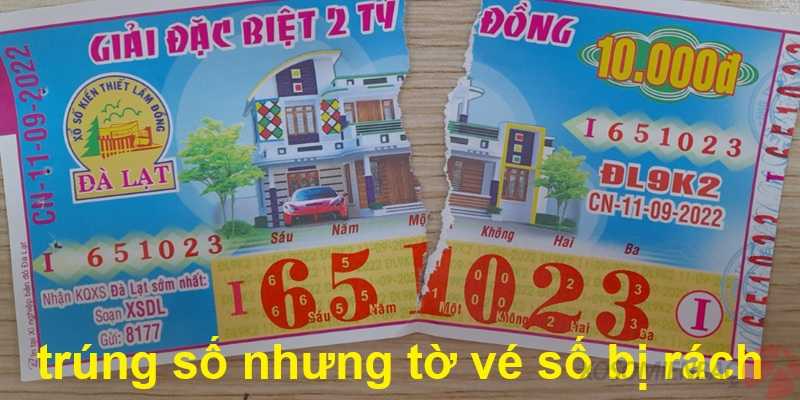 Giấc mơ trúng số nhưng tờ vé số bị rách