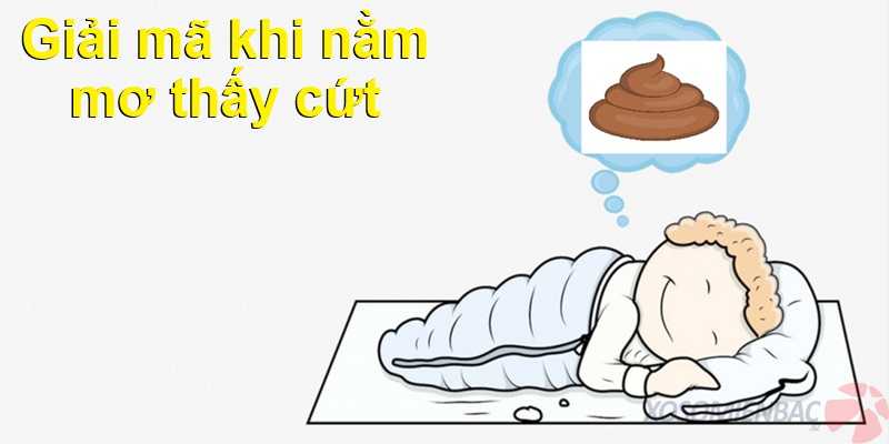 Giải mã khi nằm mơ thấy cứt