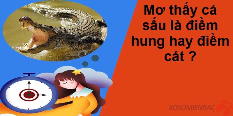 Mơ thấy cá sấu là điềm hung hay điềm cát?