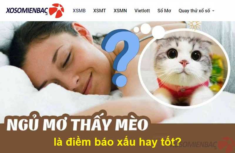 Mơ thấy mèo là điềm báo xấu hay tốt?