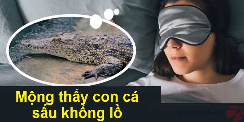 Mộng thấy con cá sấu khổng lồ