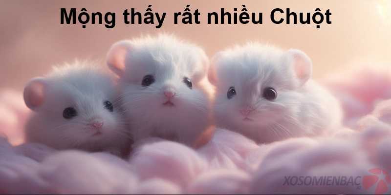 Mộng thấy rất nhiều Chuột