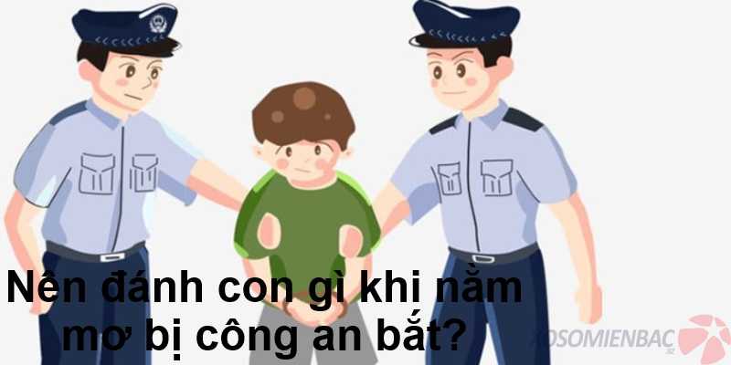 Nên đánh con gì khi nằm mơ bị công an bắt?